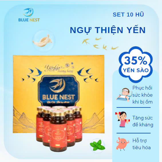 Hộp xanh vàng 10 hũ Ngữ Thiện Yến